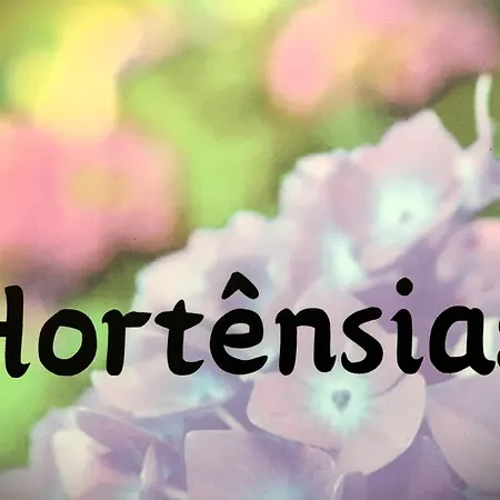 Anc Appartement Ponta Delgada