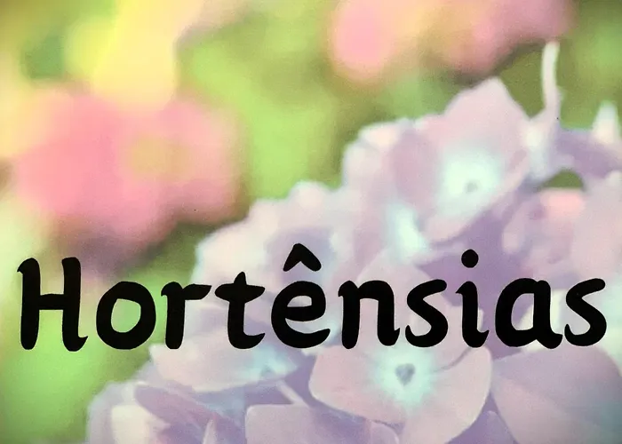 Anc Lejlighed Ponta Delgada